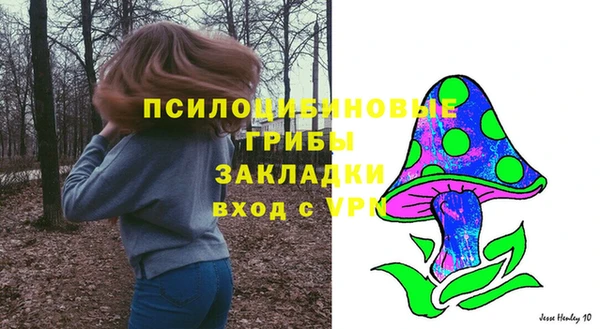 гидра Алексин