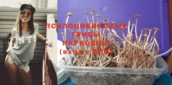 эйфоретик Алексеевка