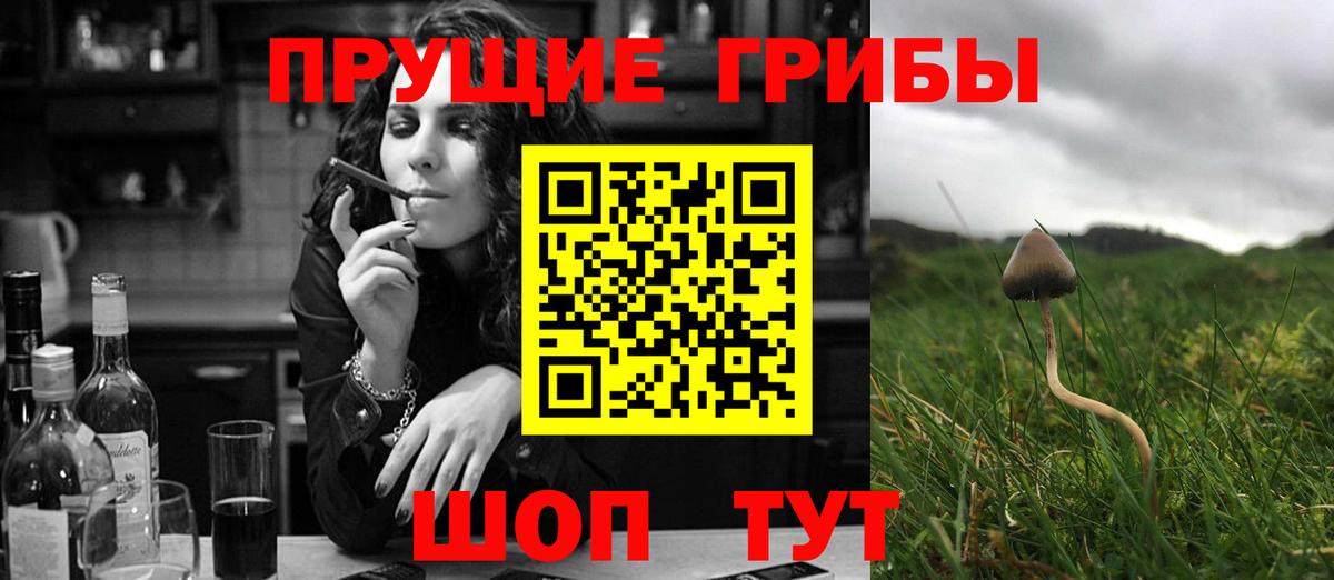 Аргун  Галлюциногенные грибы Magic Shrooms  наркота  Вход с VPN 